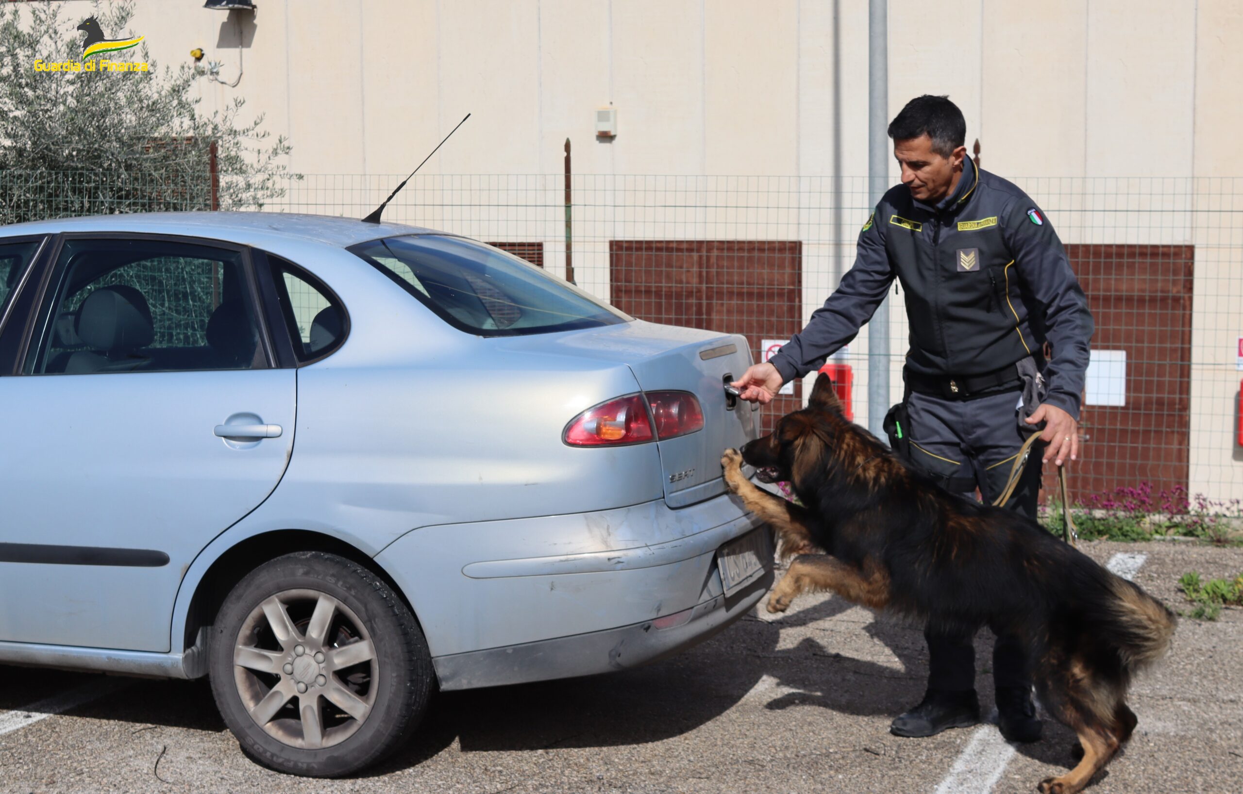 Droga, sequestri e segnalazioni per 23 persone