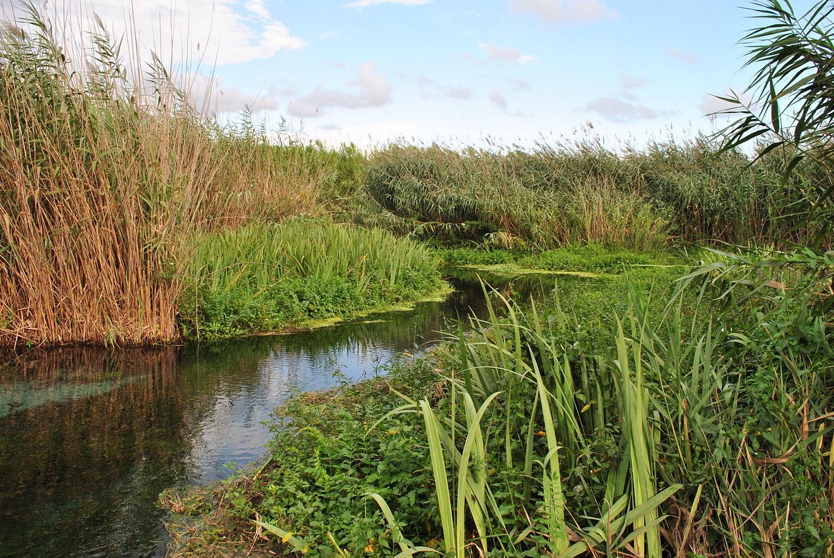 Il Valore Ecosistemico del Fiume Tara: Oltre l’Acqua, un Patrimonio da Proteggere. Oltre la Propaganda